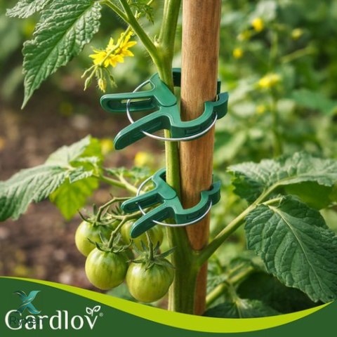 Klipsy- zapinki do roślin- 108szt. Gardlov 22586 GARDLOV