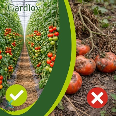 Klipsy- zapinki do roślin- 108szt. Gardlov 22586 GARDLOV