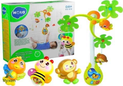 Karuzela Pozytywka Zabawki Grzechotki Dla Maluszka LEAN TOYS