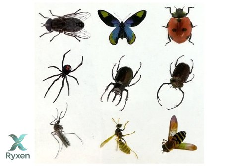Zestaw Kreatywny Prehistoria Stwórz Bursztyn Owady LEAN TOYS