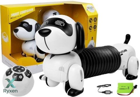 Interaktywny Pies Robot Zdalnie Sterowany Muzyka Dźwięk Pilot Piłka LEAN TOYS