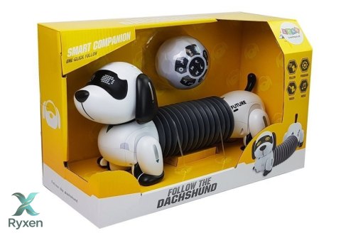 Interaktywny Pies Robot Zdalnie Sterowany Muzyka Dźwięk Pilot Piłka LEAN TOYS