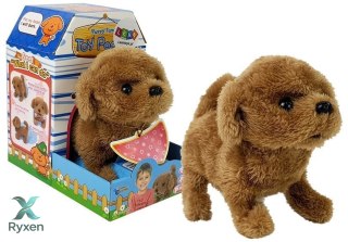 Interaktywny Piesek na Baterie Brązowy Chodzi Porusza Ogonem Dźwięk LEAN TOYS