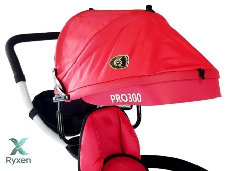 Rower Trójkołowy PRO300 Czerwony LEAN TOYS