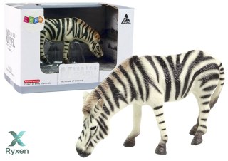 Duża Figurka Kolekcjonerska Zebra Zwierzęta Świata LEAN TOYS