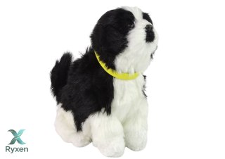 Interaktywny Pies Piesek Border Collie Pluszowy Szczeka Rusza Ogonem LEAN TOYS