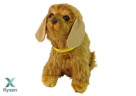 Interaktywny Pies Piesek Cocker Spaniel Pluszowy Szczeka Rusza Ogonem LEAN TOYS