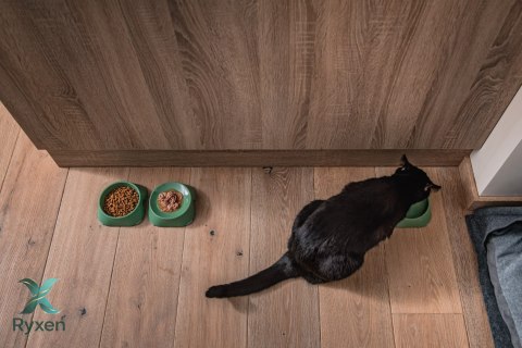 Miska płytka BEŻOWA FIBOO Fiboo