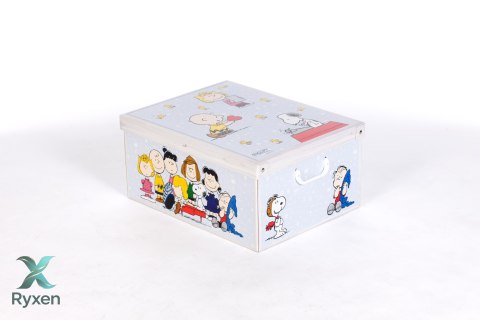 Pudełko kartonowe ozdobne MAXI PEANUTS SNOOPY Aroma Smak
