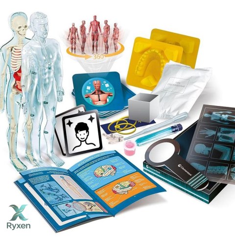 Naukowa Zabawa Super Anatomia Język Polski Clementoni 50919 CLEMENTONI