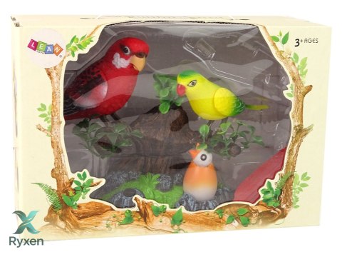 Śpiewające Ruchome Papużki Drzewo Kolorowe LEAN TOYS