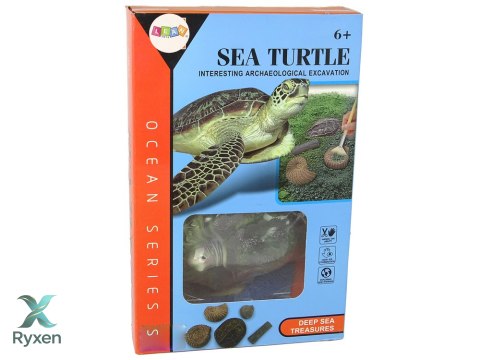 Zestaw Edukacyjny Wykopaliska Żółw Amonity LEAN TOYS