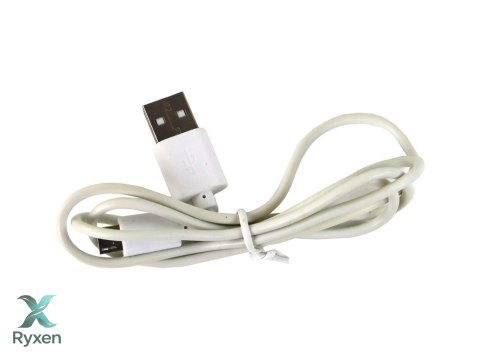 Lampka Jajko Dinozaur Pterozaur LED Micro USB LEAN TOYS