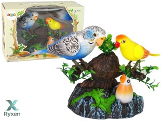 Śpiewające Ruchome Papużki Drzewko Kolorowe LEAN TOYS