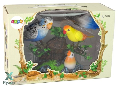 Śpiewające Ruchome Papużki Drzewko Kolorowe LEAN TOYS