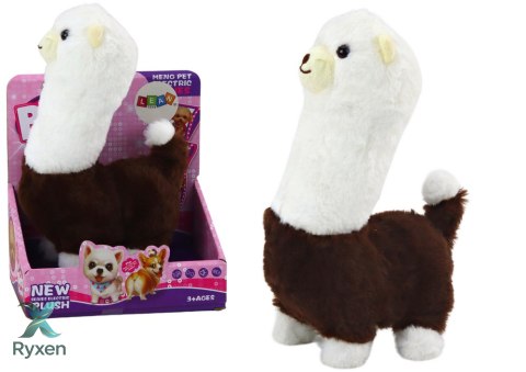 Interaktywne Zwierzątko Lama Alpaka Chodzi Gra Brązowa 23 cm LEAN TOYS