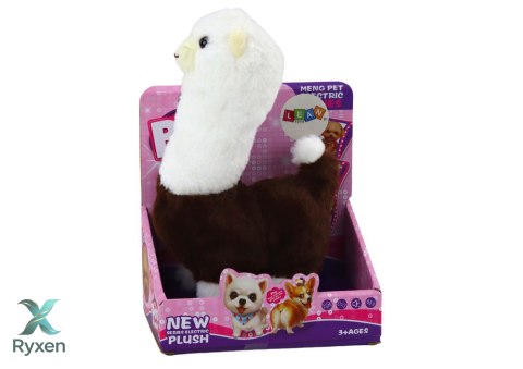 Interaktywne Zwierzątko Lama Alpaka Chodzi Gra Brązowa 23 cm LEAN TOYS