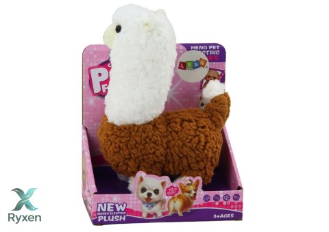 Lama Interaktywne Zwierzątko Alpaka Brązowa Chodzi Gra 23 cm LEAN TOYS