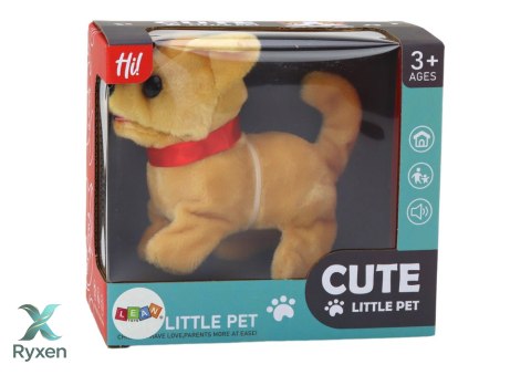 Piesek Pluszowy Interaktywny Zwierzątko Chodzi Szczeka Beżowy LEAN TOYS