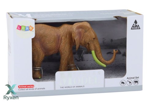 Figurka Kolekcjonerska Słoń Afrykański Safari Brązowy LEAN TOYS