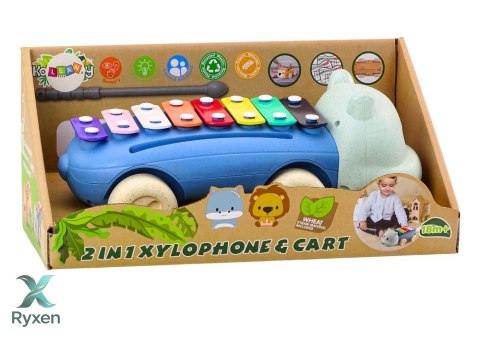 Cymbałki Hipopotam Na Kółkach Instrument Dla Dzieci Kolorowe Edukacyjne LEAN TOYS