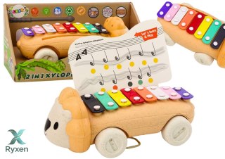 Cymbałki Lew Na Kółkach Instrument Dla Dzieci Kolorowe Edukacyjne LEAN TOYS