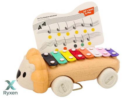 Cymbałki Lew Na Kółkach Instrument Dla Dzieci Kolorowe Edukacyjne LEAN TOYS
