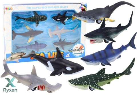 Figurki Pojazdy Zwierzęta Morskie Napęd Frykcyjny Rekin Orka 6 Szt LEAN TOYS
