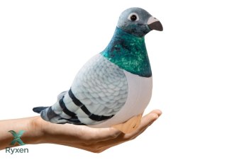 Maskotka Pluszowy Gołąb Grzywacz Szary 20cm LEAN TOYS