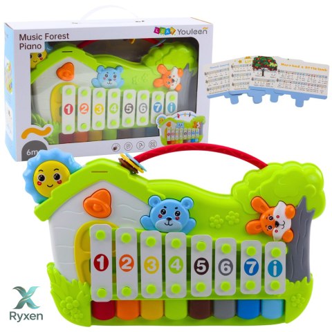 Muzyczne Pianinko Leśne Ksylofon Karty z Nutami 5szt LEAN TOYS