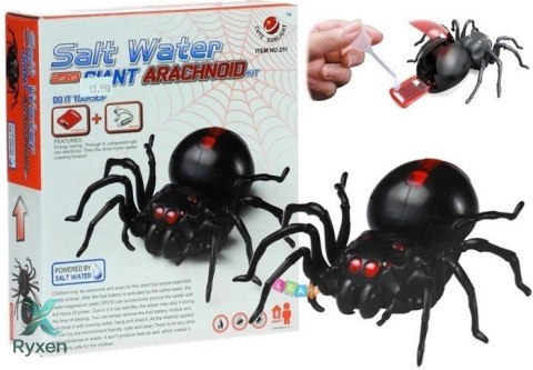 Zestaw Kreatywny Pająk Zasilany Słoną Wodą DIY Czarny LEAN TOYS