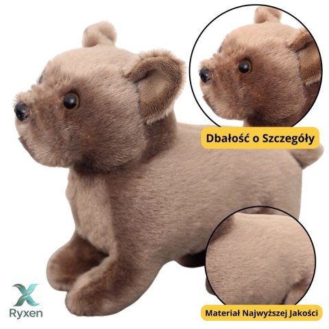 Pluszowa Maskotka Przytulanka Mały Pies Brązowy 19cm LEAN TOYS