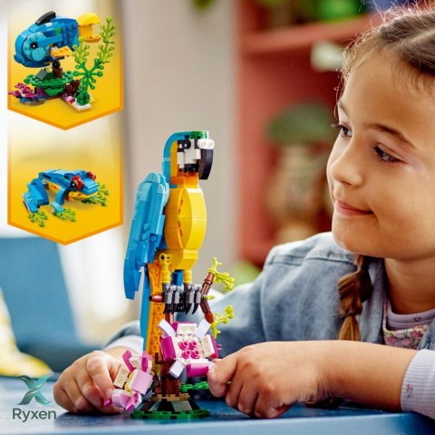 Klocki creator 31136 egzotyczna papuga LEGO