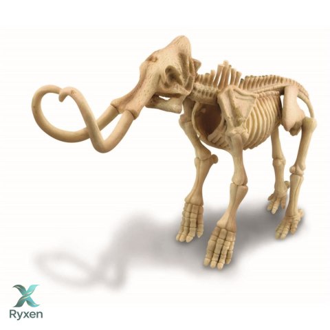 Zestaw naukowy wykopaliska - mamut 4M