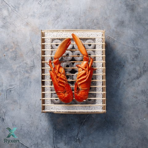 Casus Grill w papierowym opakowaniu CasusGrill