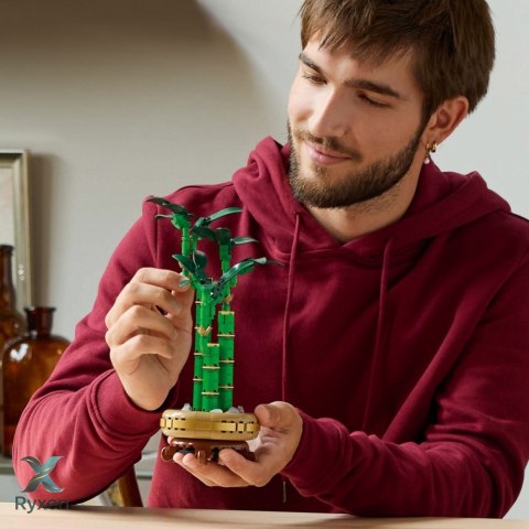 Klocki botanicals 10344 dracena sandera LEGO