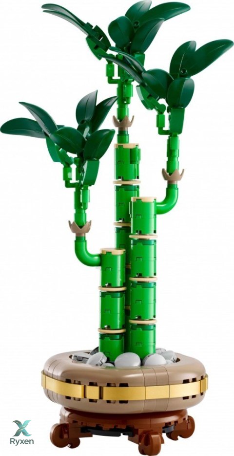 Klocki botanicals 10344 dracena sandera LEGO