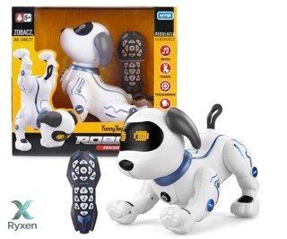 Robopies r/c toys for boys ARTYK