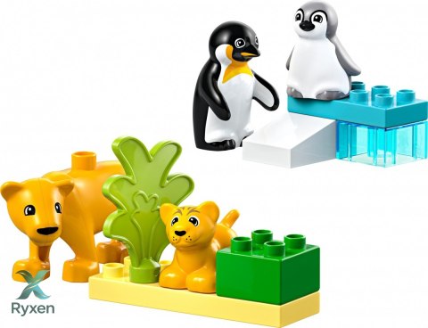 Klocki duplo 10442 rodziny dzikich zwierząt: pingwiny i lwy LEGO