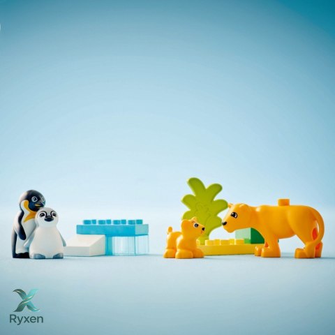 Klocki duplo 10442 rodziny dzikich zwierząt: pingwiny i lwy LEGO
