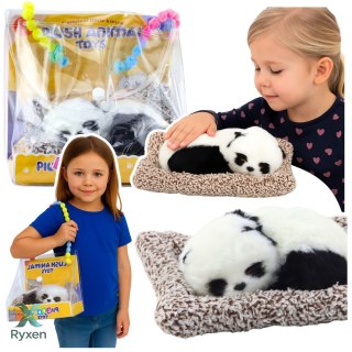 Śpiąca Panda Na Poduszce Figurka z Futerkiem Przeźroczysta Torba LEAN TOYS