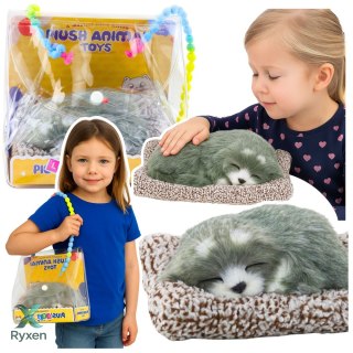 Śpiący Pies Husky Na Poduszce Figurka z Futerkiem Torba Dźwięki LEAN TOYS