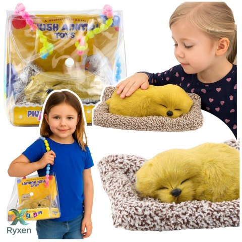 Śpiący Pies Labrador Na Poduszce Figurka z Futerkiem Torba Dźwięki LEAN TOYS