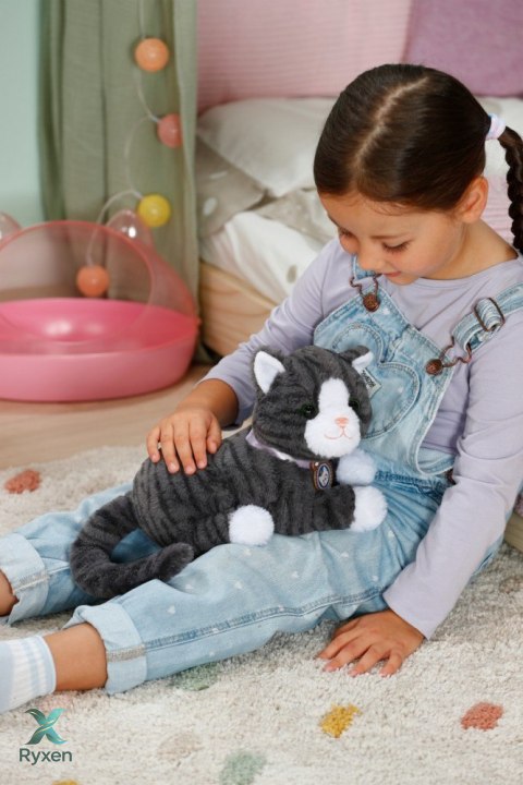 Maskotka interaktywna baby born mój kot cookie z pudełkiem ZAPF