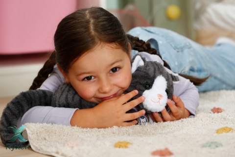 Maskotka interaktywna baby born mój kot cookie z pudełkiem ZAPF
