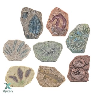 Zestaw Paleontologiczny Wykopaliska Blok Gipsowy Narzędzia LEAN TOYS