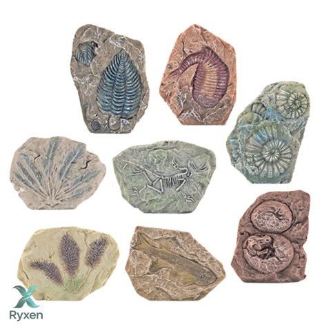 Zestaw Paleontologiczny Wykopaliska Blok Gipsowy Narzędzia LEAN TOYS