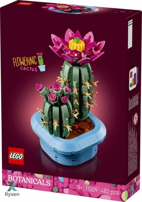Klocki botanicals 11509 kwitnący kaktus LEGO