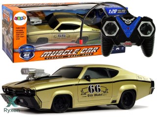 Zdalnie Sterowane Auto Sportowe Klasyczne 1:20 Złote Pilot LEAN TOYS