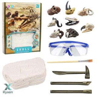 Zestaw Archeologiczny Wykopaliska Czaszek Kości Narzędzia Akcesoria LEAN TOYS